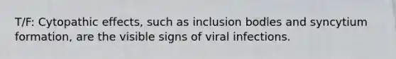 T/F: Cytopathic effects, such as inclusion bodies and syncytium formation, are the visible signs of viral infections.