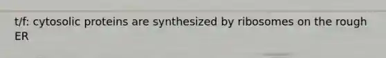 t/f: cytosolic proteins are synthesized by ribosomes on the rough ER