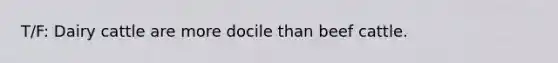 T/F: Dairy cattle are more docile than beef cattle.