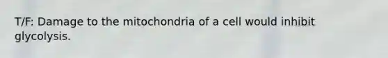 T/F: Damage to the mitochondria of a cell would inhibit glycolysis.
