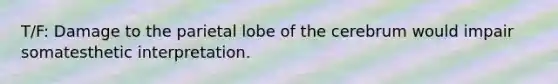 T/F: Damage to the parietal lobe of the cerebrum would impair somatesthetic interpretation.