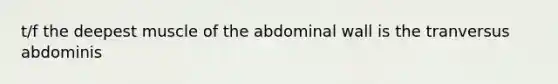 t/f the deepest muscle of the abdominal wall is the tranversus abdominis