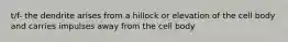 t/f- the dendrite arises from a hillock or elevation of the cell body and carries impulses away from the cell body