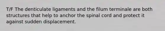 T/F The denticulate ligaments and the filum terminale are both structures that help to anchor the spinal cord and protect it against sudden displacement.