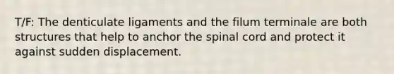 T/F: The denticulate ligaments and the filum terminale are both structures that help to anchor <a href='https://www.questionai.com/knowledge/kkAfzcJHuZ-the-spinal-cord' class='anchor-knowledge'>the spinal cord</a> and protect it against sudden displacement.