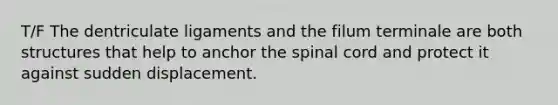 T/F The dentriculate ligaments and the filum terminale are both structures that help to anchor the spinal cord and protect it against sudden displacement.