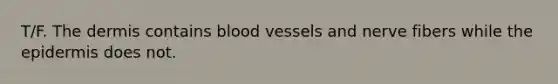 T/F. <a href='https://www.questionai.com/knowledge/kEsXbG6AwS-the-dermis' class='anchor-knowledge'>the dermis</a> contains blood vessels and nerve fibers while <a href='https://www.questionai.com/knowledge/kBFgQMpq6s-the-epidermis' class='anchor-knowledge'>the epidermis</a> does not.