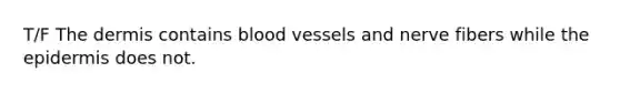 T/F The dermis contains blood vessels and nerve fibers while the epidermis does not.