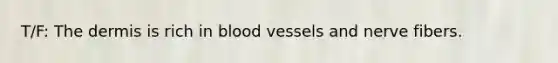 T/F: The dermis is rich in blood vessels and nerve fibers.