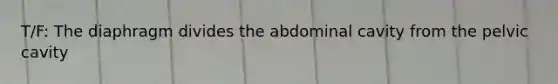 T/F: The diaphragm divides the abdominal cavity from the pelvic cavity