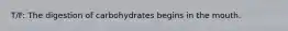 T/F: The digestion of carbohydrates begins in the mouth.
