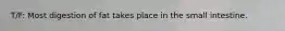 T/F: Most digestion of fat takes place in the small intestine.