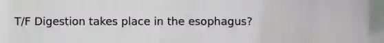 T/F Digestion takes place in <a href='https://www.questionai.com/knowledge/kSjVhaa9qF-the-esophagus' class='anchor-knowledge'>the esophagus</a>?