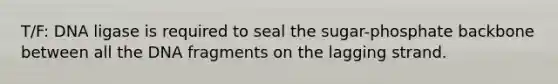 T/F: DNA ligase is required to seal the sugar-phosphate backbone between all the DNA fragments on the lagging strand.