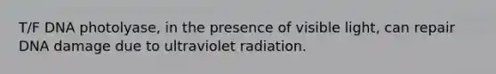 T/F DNA photolyase, in the presence of visible light, can repair DNA damage due to ultraviolet radiation.