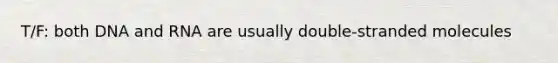 T/F: both DNA and RNA are usually double-stranded molecules