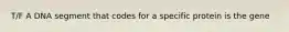 T/F A DNA segment that codes for a specific protein is the gene