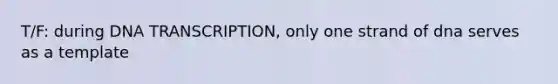 T/F: during DNA TRANSCRIPTION, only one strand of dna serves as a template