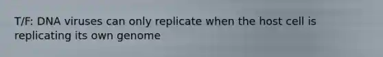 T/F: DNA viruses can only replicate when the host cell is replicating its own genome