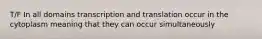 T/F In all domains transcription and translation occur in the cytoplasm meaning that they can occur simultaneously