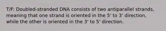 T/F: Doubled-stranded DNA consists of two antiparallel strands, meaning that one strand is oriented in the 5' to 3' direction, while the other is oriented in the 3' to 5' direction.