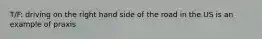 T/F: driving on the right hand side of the road in the US is an example of praxis