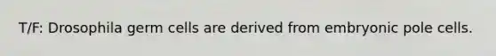 T/F: Drosophila germ cells are derived from embryonic pole cells.