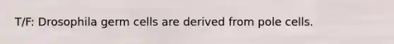 T/F: Drosophila germ cells are derived from pole cells.