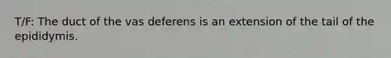 T/F: The duct of the vas deferens is an extension of the tail of the epididymis.