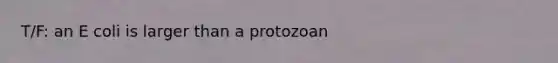 T/F: an E coli is larger than a protozoan