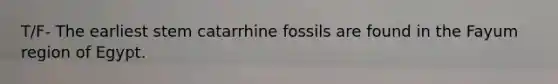 T/F- The earliest stem catarrhine fossils are found in the Fayum region of Egypt.