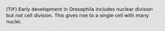 (T/F) Early development in Drosophila includes nuclear division but not cell division. This gives rise to a single cell with many nuclei.