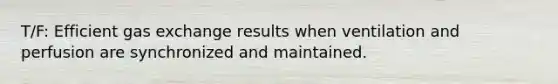 T/F: Efficient gas exchange results when ventilation and perfusion are synchronized and maintained.