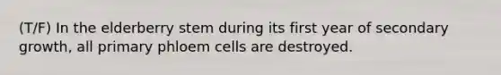 (T/F) In the elderberry stem during its first year of secondary growth, all primary phloem cells are destroyed.