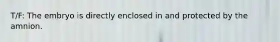 T/F: The embryo is directly enclosed in and protected by the amnion.