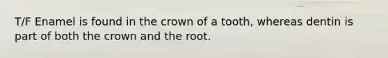 T/F Enamel is found in the crown of a tooth, whereas dentin is part of both the crown and the root.