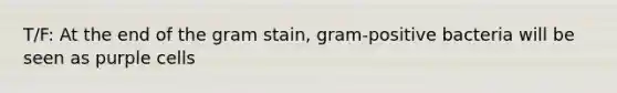 T/F: At the end of the gram stain, gram-positive bacteria will be seen as purple cells