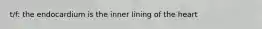 t/f: the endocardium is the inner lining of the heart