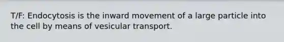 T/F: Endocytosis is the inward movement of a large particle into the cell by means of vesicular transport.