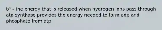 t/f - the energy that is released when hydrogen ions pass through atp synthase provides the energy needed to form adp and phosphate from atp