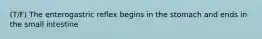 (T/F) The enterogastric reflex begins in the stomach and ends in the small intestine