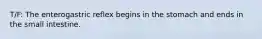 T/F: The enterogastric reflex begins in the stomach and ends in the small intestine.