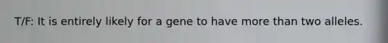 T/F: It is entirely likely for a gene to have more than two alleles.