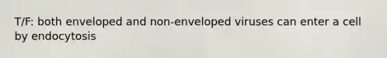 T/F: both enveloped and non-enveloped viruses can enter a cell by endocytosis