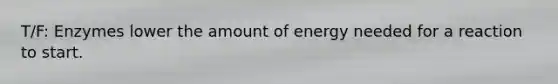 T/F: Enzymes lower the amount of energy needed for a reaction to start.