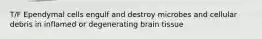 T/F Ependymal cells engulf and destroy microbes and cellular debris in inflamed or degenerating brain tissue