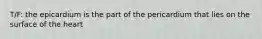 T/F: the epicardium is the part of the pericardium that lies on the surface of the heart