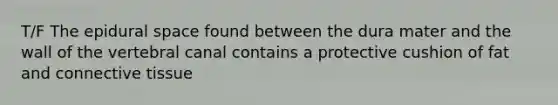 T/F The epidural space found between the dura mater and the wall of the vertebral canal contains a protective cushion of fat and connective tissue