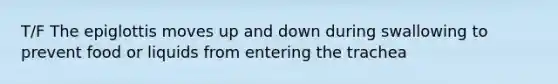 T/F The epiglottis moves up and down during swallowing to prevent food or liquids from entering the trachea