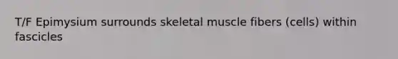 T/F Epimysium surrounds skeletal muscle fibers (cells) within fascicles